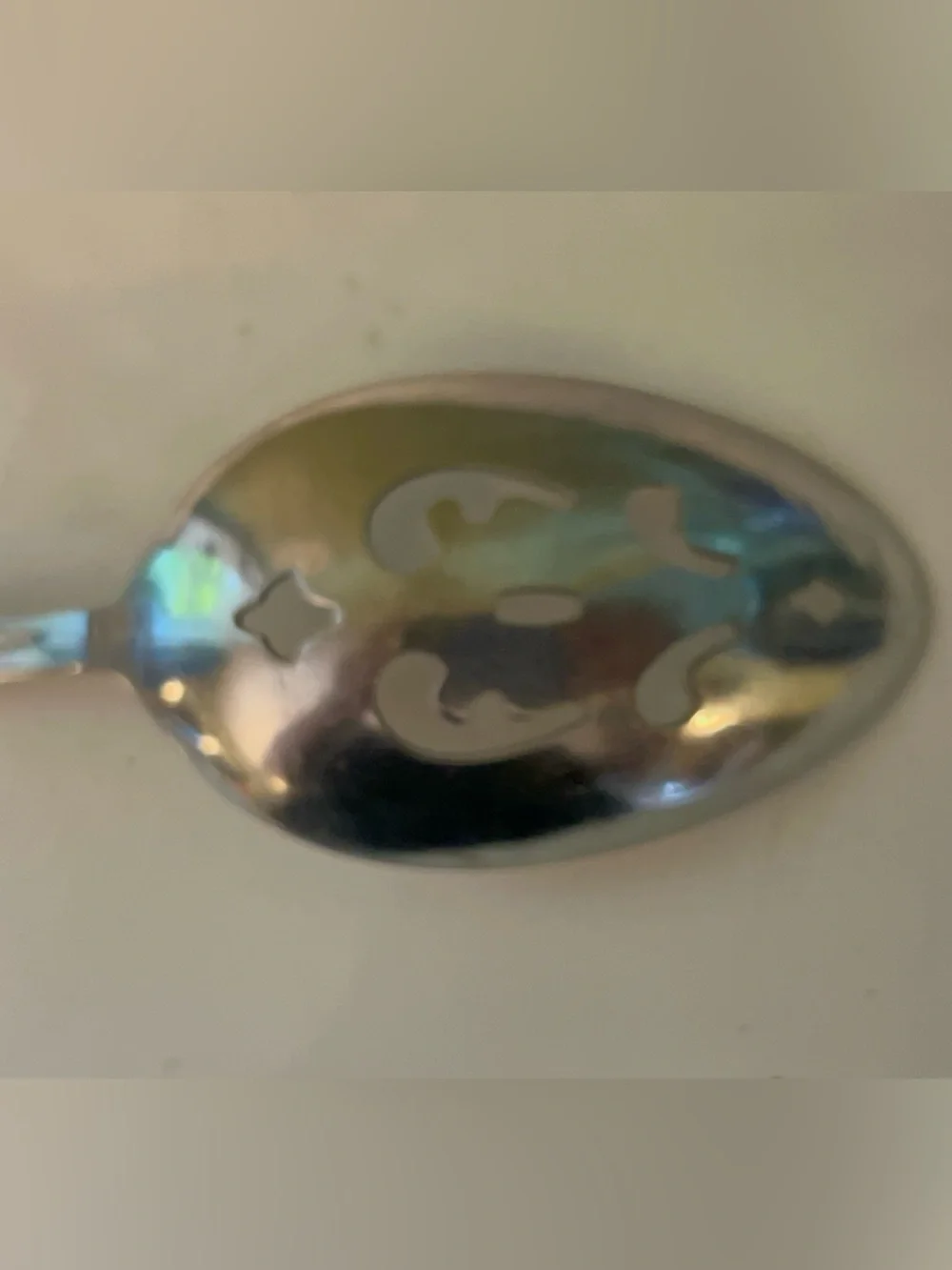 Century House (Stainless) pierced serving spoon 8.5 inches
